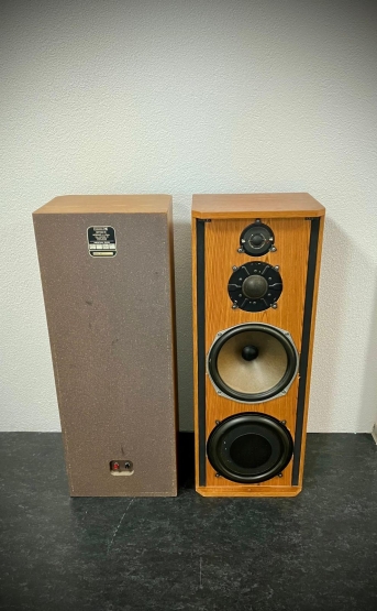 Celestion DITTON 66 Standlautsprecher - Paarpreis