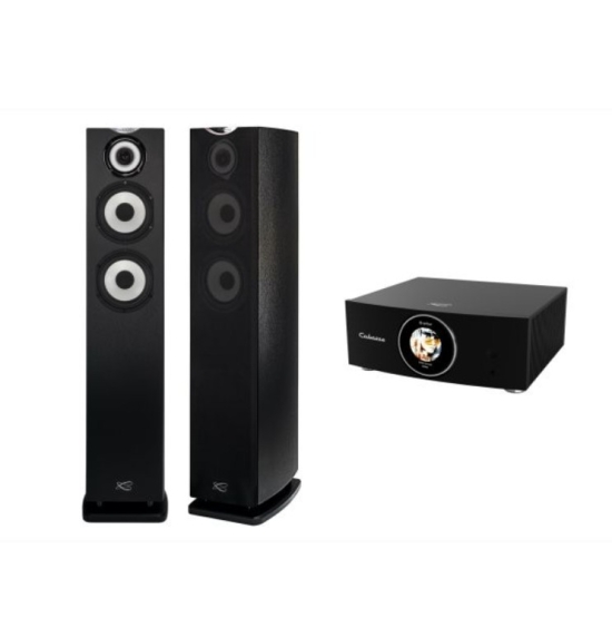 Cabasse JAVA MC40 SYSTEM BRUSHED BLACK