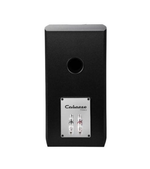 Cabasse MINORCA MC40 SYSTEM BRUSHED BLACK