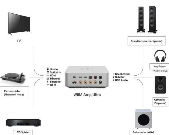 Rückansicht des WiiM Amp Ultra mit vergoldeten Lautsprecherklemmen, HDMI ARC, optischem Eingang, Line-In und Subwoofer-Ausgang.