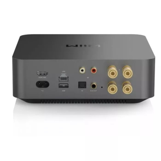 Rückansicht des WiiM Amp Pro mit HDMI ARC, optischem Eingang, Stereo Line-In, USB, Subwoofer-Ausgang und Lautsprecherklemmen.