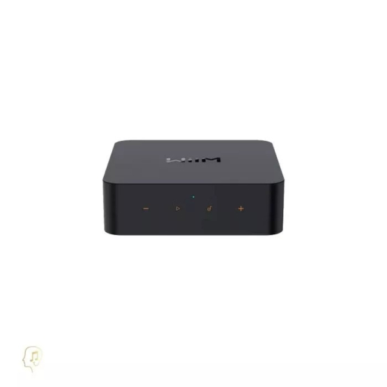 WiiM Pro Hi-Res Audio Streamer in kompakter Bauweise mit eleganter Frontansicht.